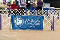 Boardwalk Kennel Club 1.21.17